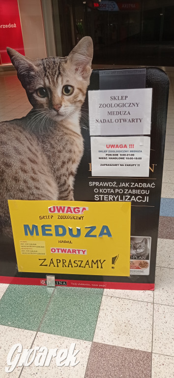 Dawny market Tesco przy ul. Zagórskiej
