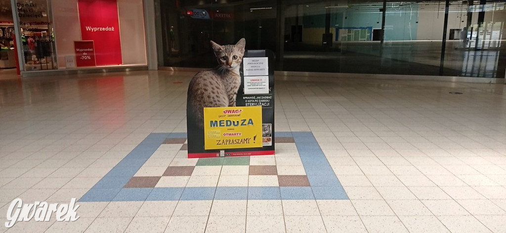 Dawny market Tesco przy ul. Zagórskiej