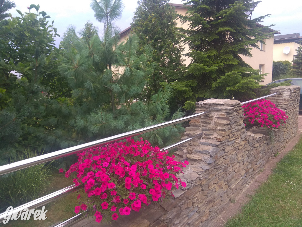 Plebiscyt na najładniejszy ogród i balkon 2022