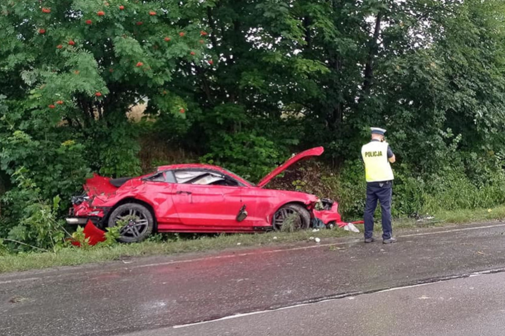 Dachowanie na drodze wojewódzkiej