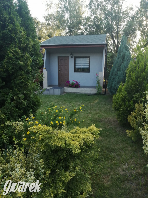 Plebiscyt na najładniejszy ogród i balkon 2022