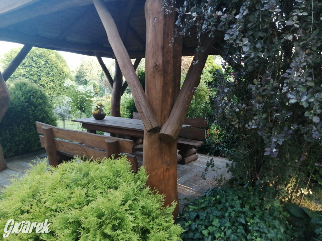 Plebiscyt na najładniejszy ogród i balkon 2022