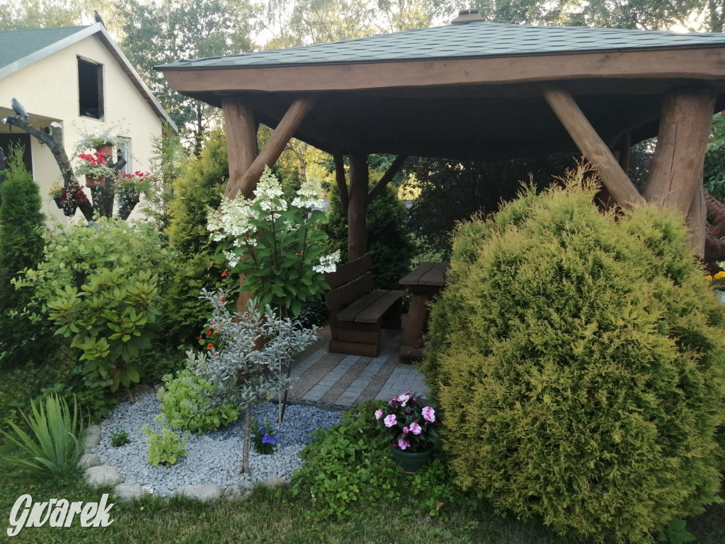 Plebiscyt na najładniejszy ogród i balkon 2022