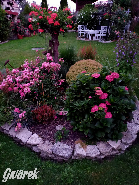 Plebiscyt na najładniejszy ogród i balkon 2022