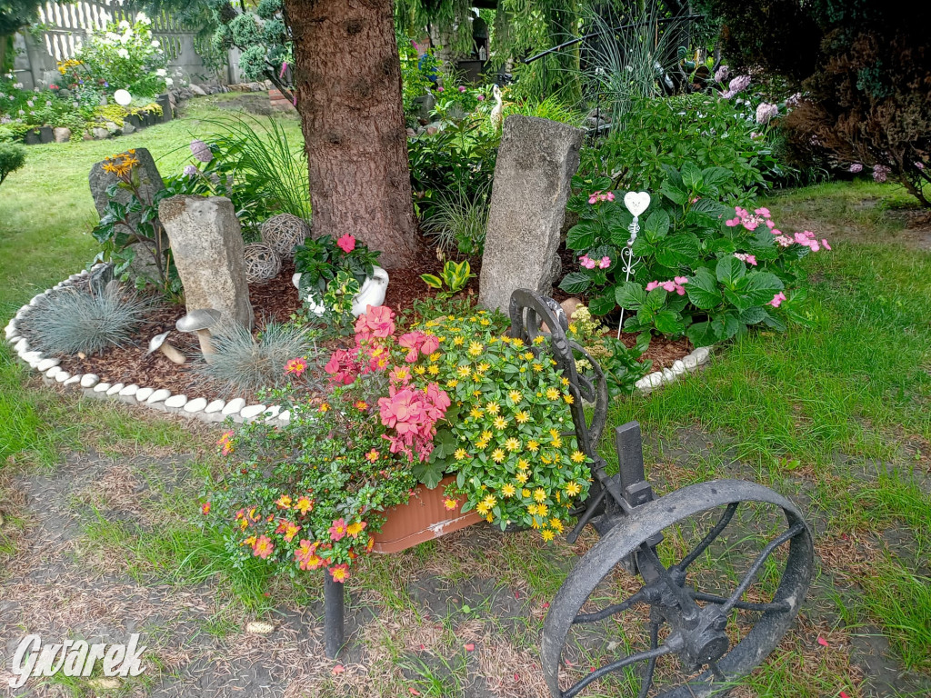 Plebiscyt na najładniejszy ogród i balkon 2022