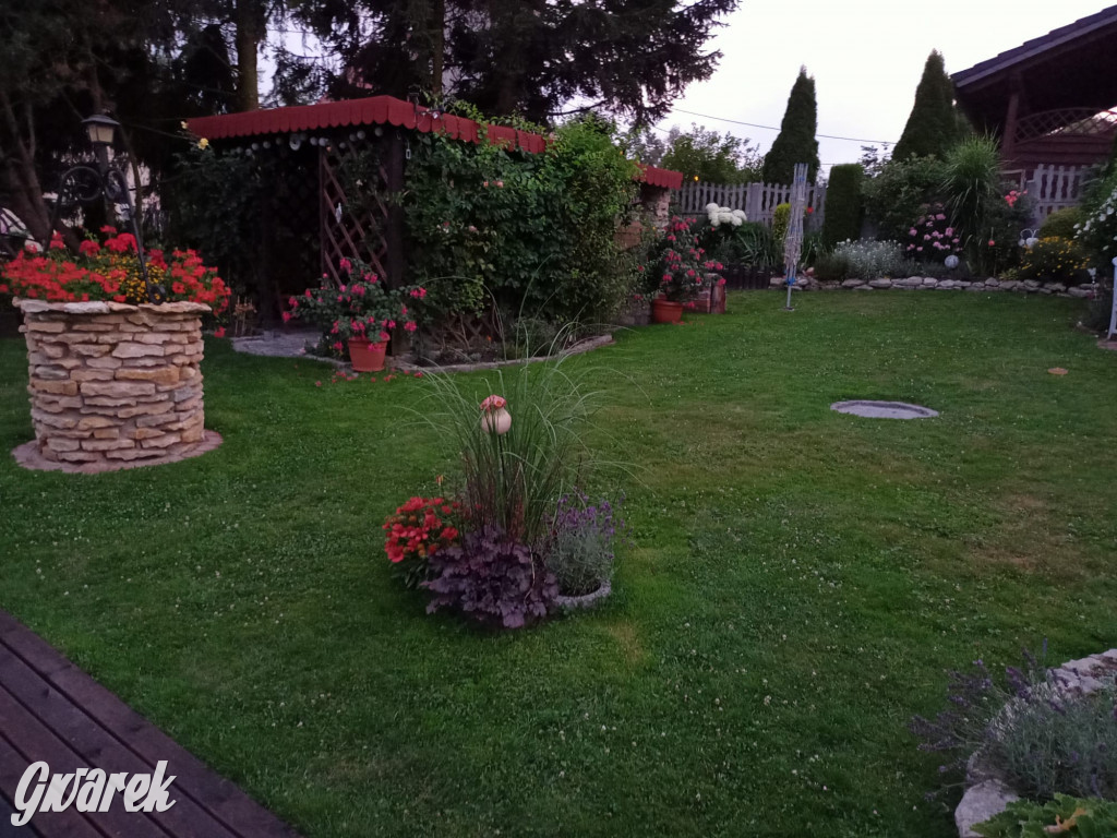 Plebiscyt na najładniejszy ogród i balkon 2022