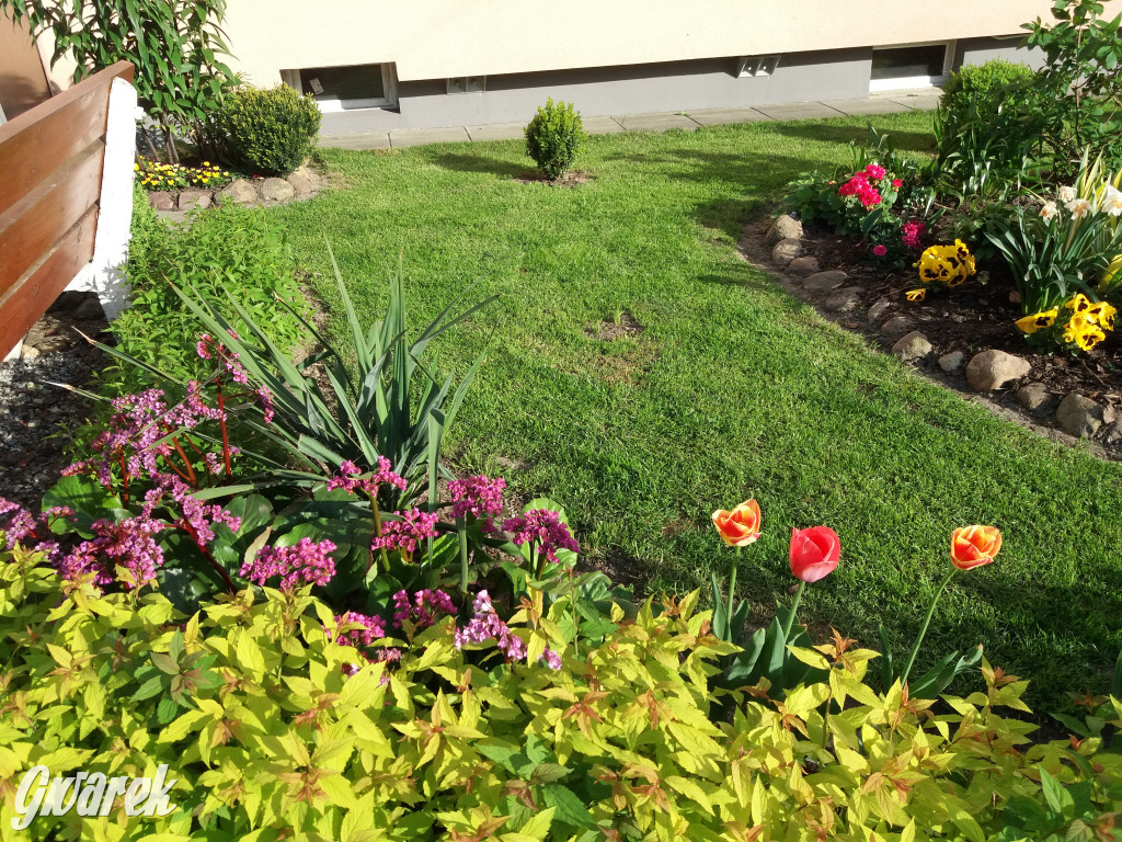 Plebiscyt na najładniejszy ogród i balkon 2022