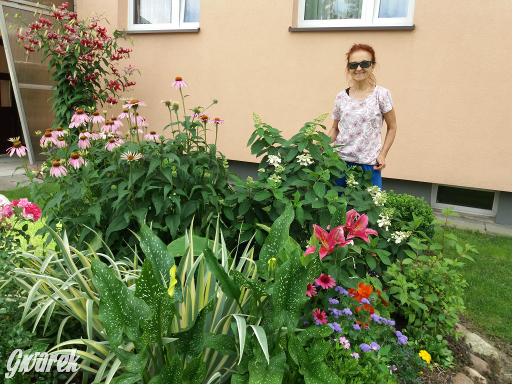 Plebiscyt na najładniejszy ogród i balkon 2022