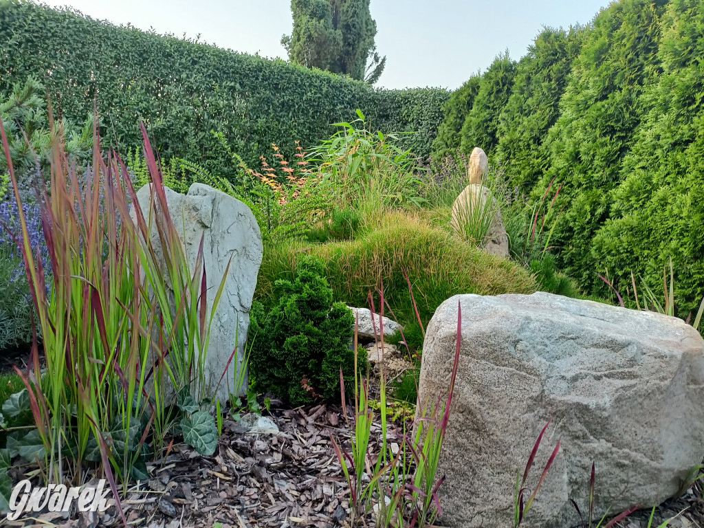 Plebiscyt na najładniejszy ogród i balkon 2022