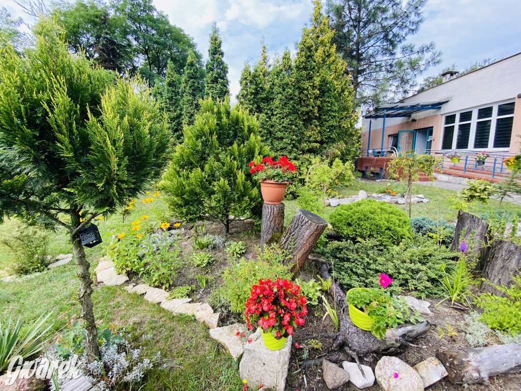 Plebiscyt na najładniejszy ogród i balkon 2022