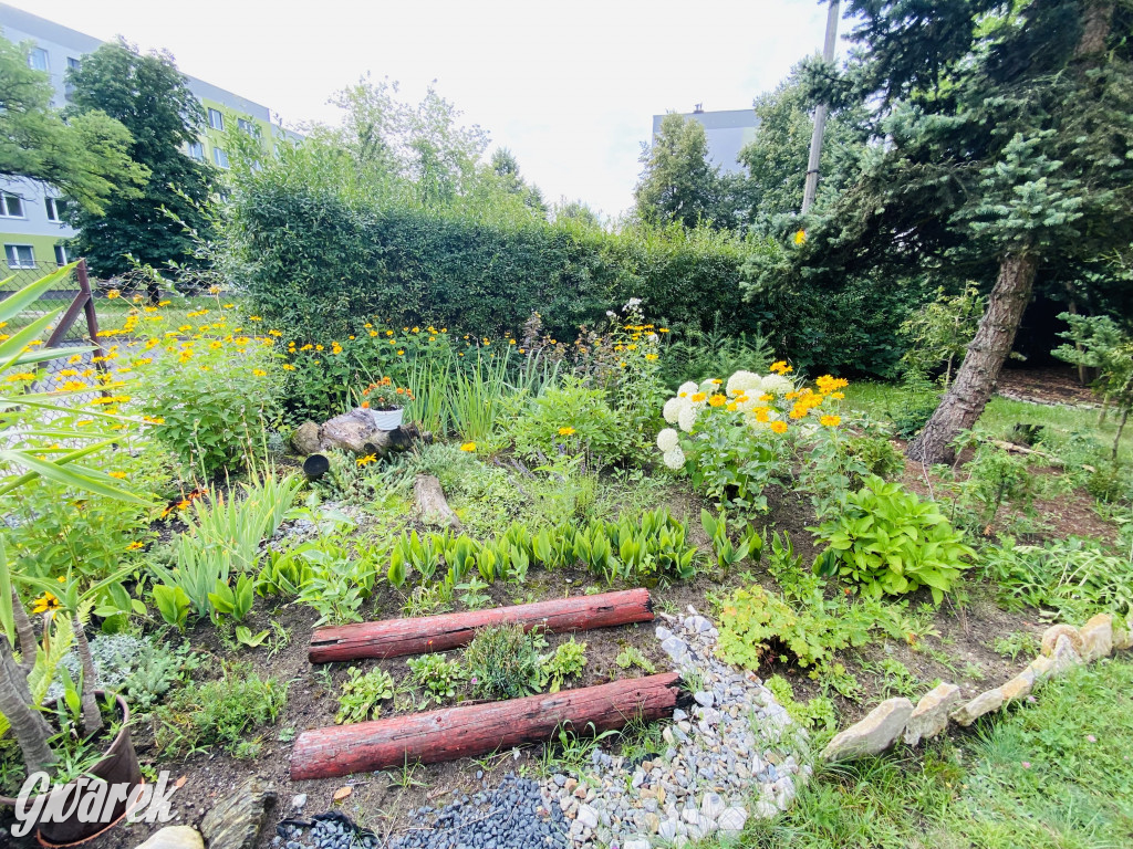 Plebiscyt na najładniejszy ogród i balkon 2022