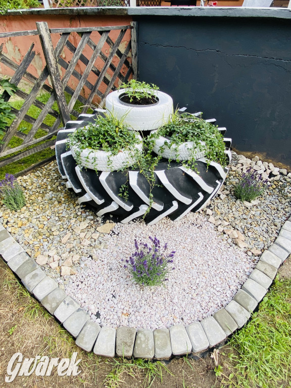 Plebiscyt na najładniejszy ogród i balkon 2022