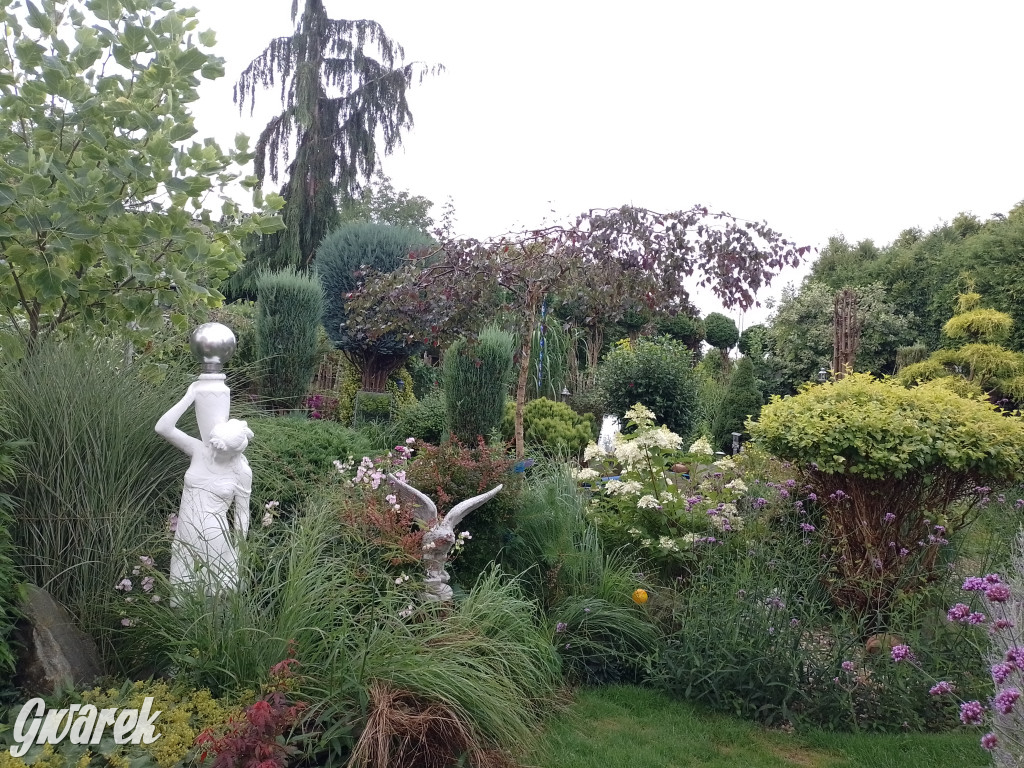 Plebiscyt na najładniejszy ogród i balkon 2022