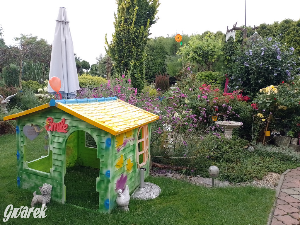 Plebiscyt na najładniejszy ogród i balkon 2022