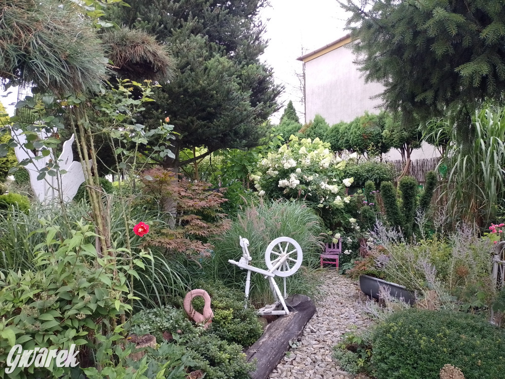 Plebiscyt na najładniejszy ogród i balkon 2022