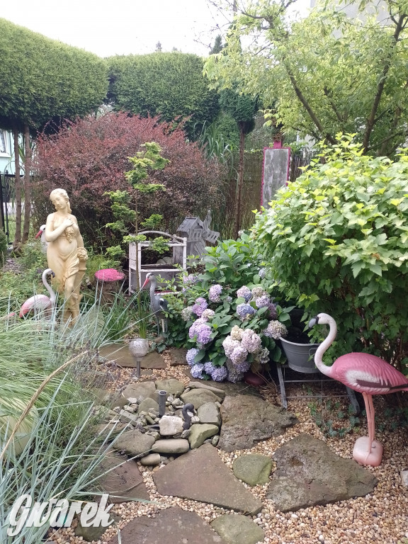 Plebiscyt na najładniejszy ogród i balkon 2022