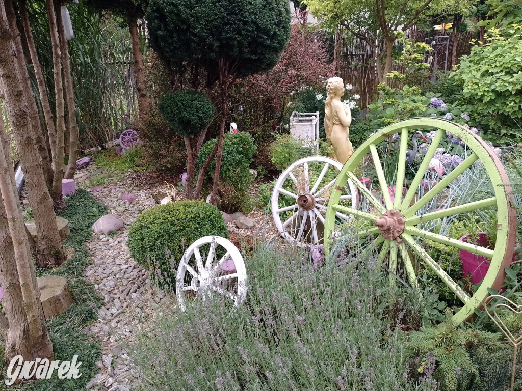 Plebiscyt na najładniejszy ogród i balkon 2022