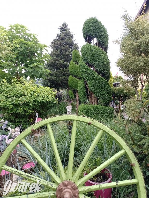 Plebiscyt na najładniejszy ogród i balkon 2022