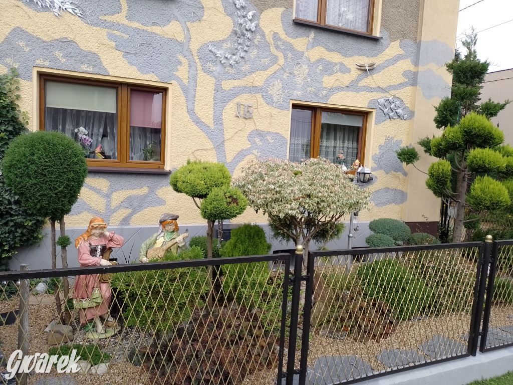 Plebiscyt na najładniejszy ogród i balkon 2022