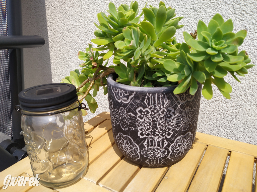 Plebiscyt na najładniejszy ogród i balkon 2022