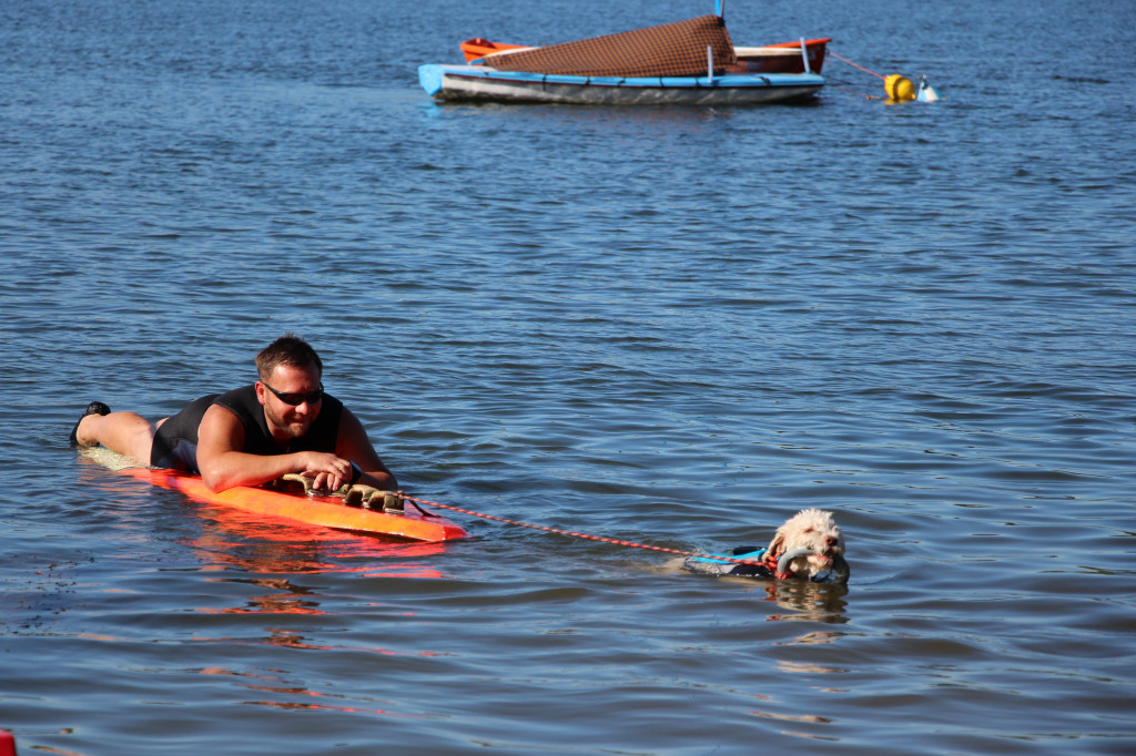 Zalew będą patrolować psi ratownicy?