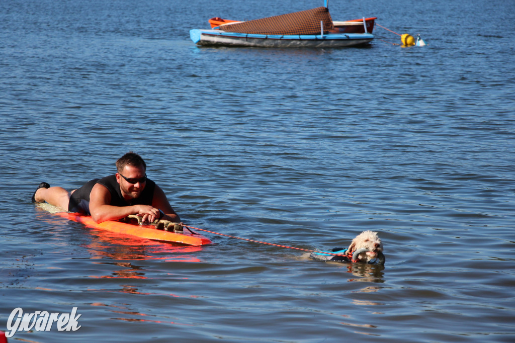 Zalew będą patrolować psi ratownicy?