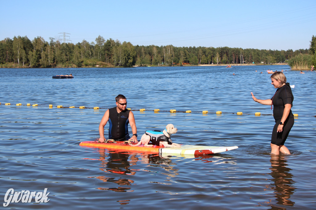 Zalew będą patrolować psi ratownicy?
