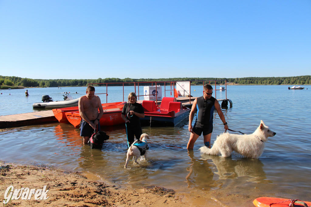 Zalew będą patrolować psi ratownicy?