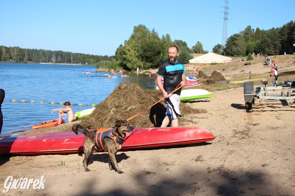 Zalew będą patrolować psi ratownicy?