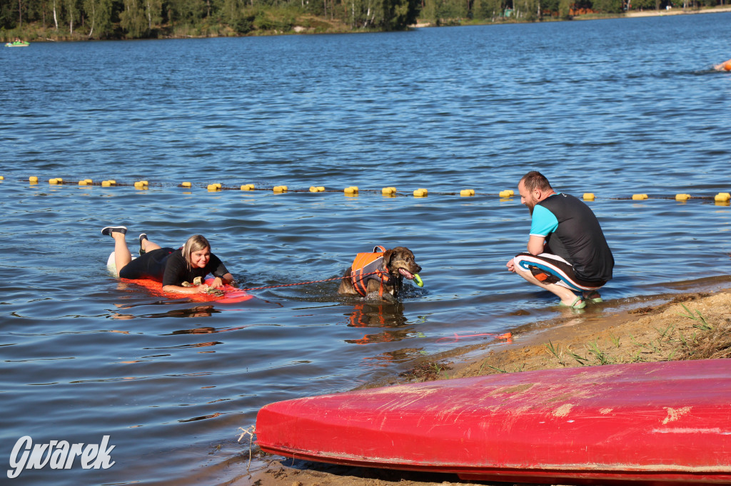 Zalew będą patrolować psi ratownicy?