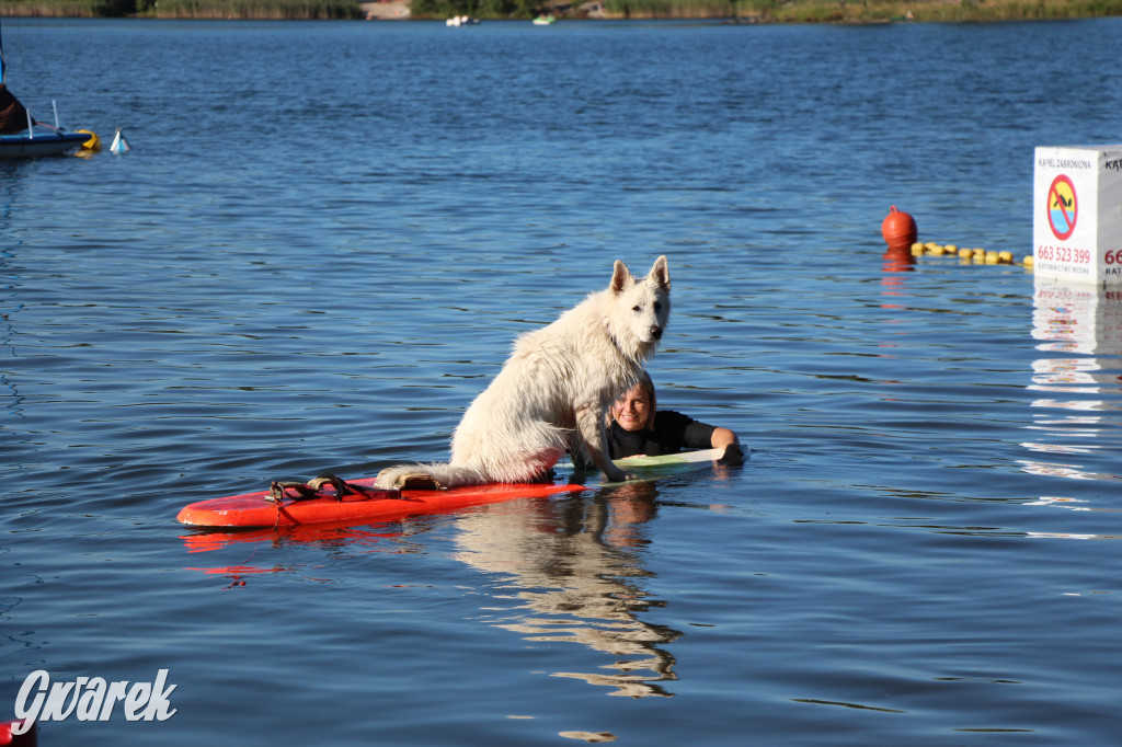 Zalew będą patrolować psi ratownicy?