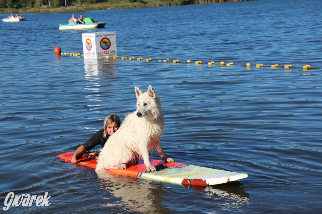 Zalew będą patrolować psi ratownicy?