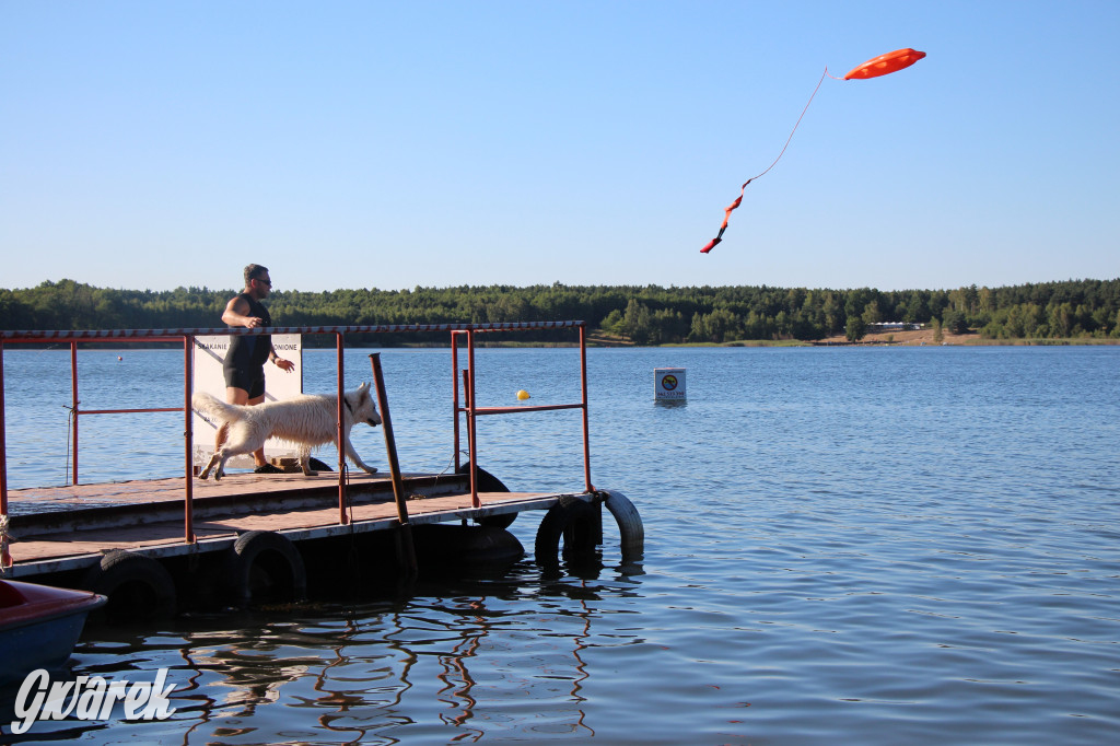 Zalew będą patrolować psi ratownicy?