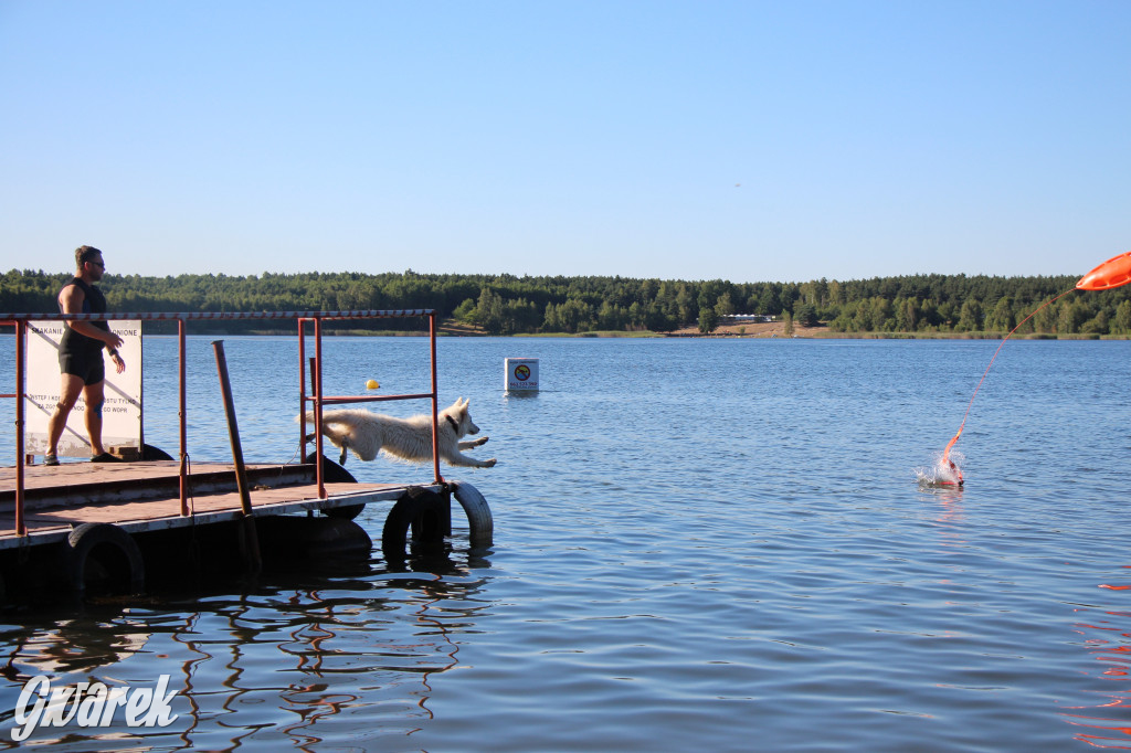 Zalew będą patrolować psi ratownicy?