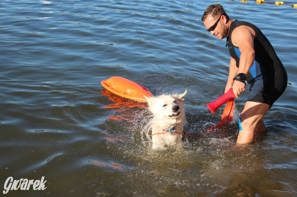 Zalew będą patrolować psi ratownicy?