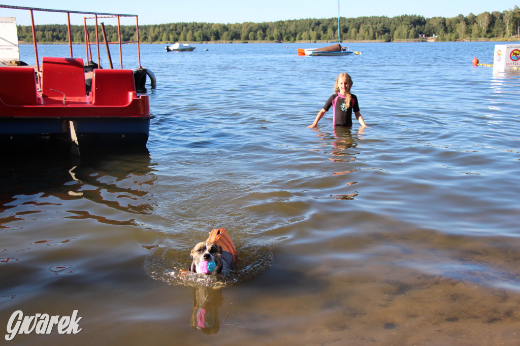 Zalew będą patrolować psi ratownicy?