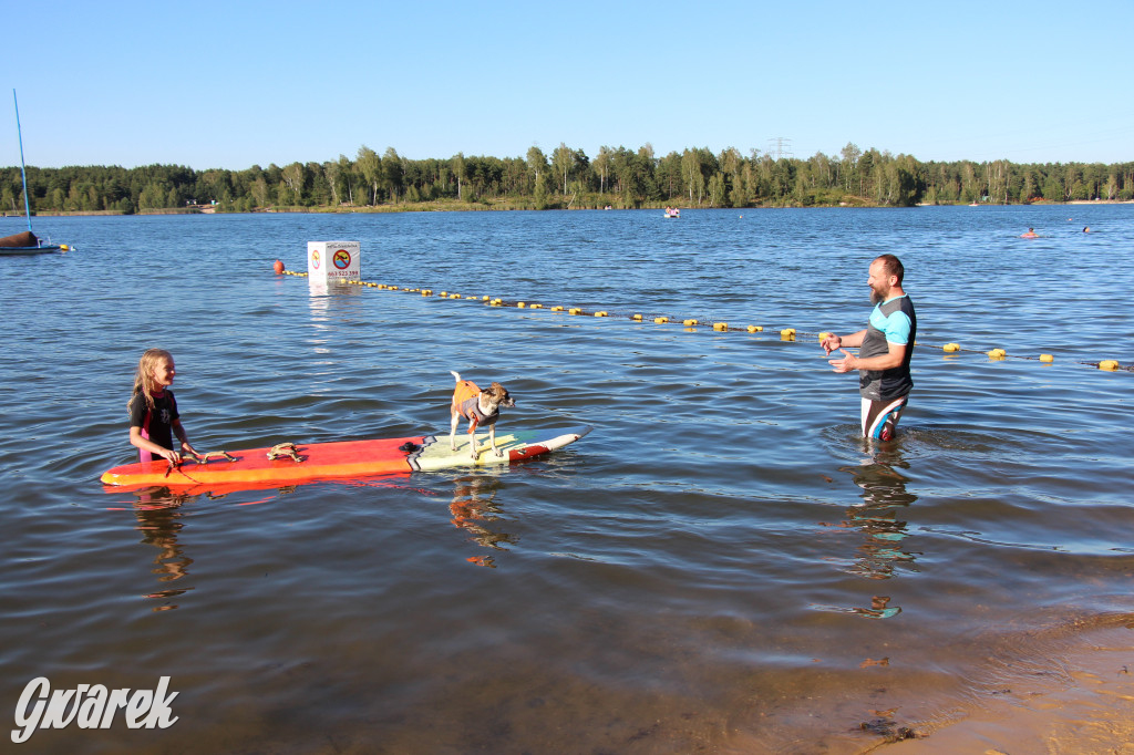 Zalew będą patrolować psi ratownicy?