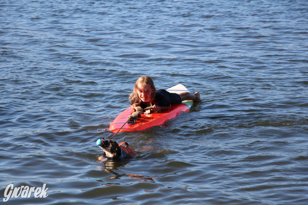 Zalew będą patrolować psi ratownicy?