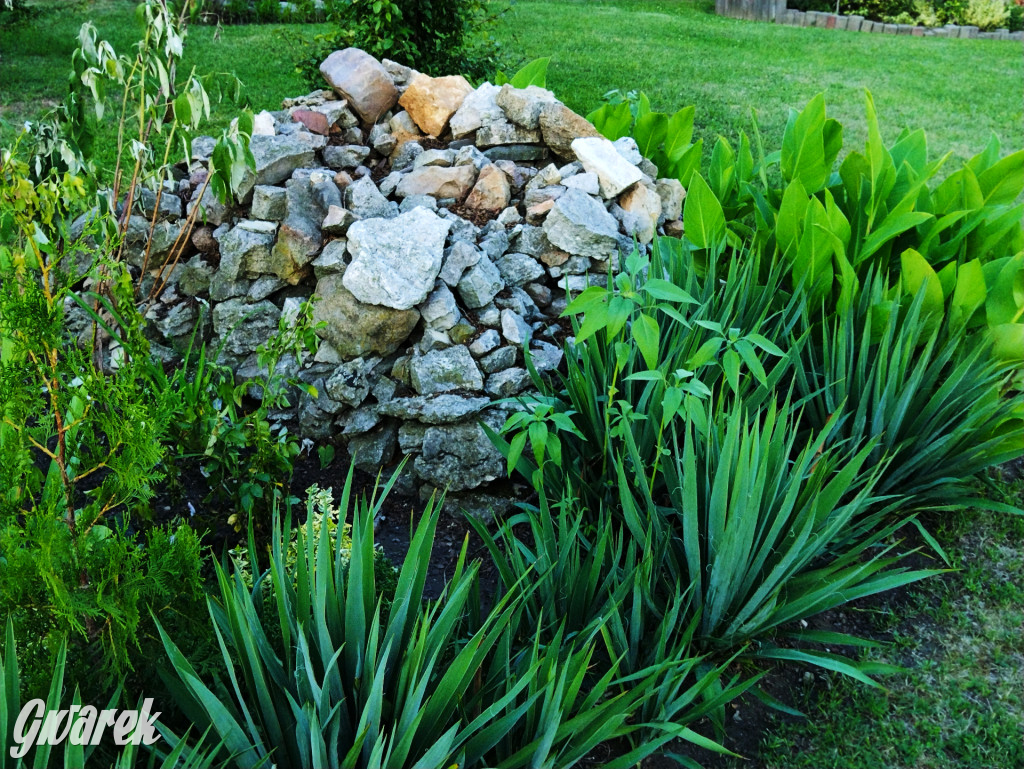 Plebiscyt na najładniejszy ogród i balkon 2022