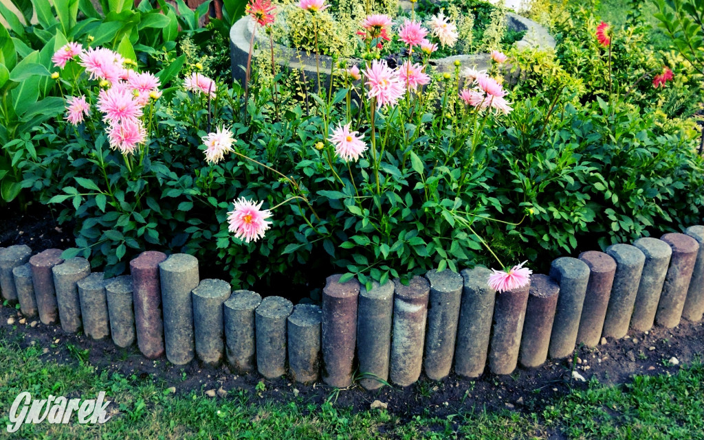 Plebiscyt na najładniejszy ogród i balkon 2022