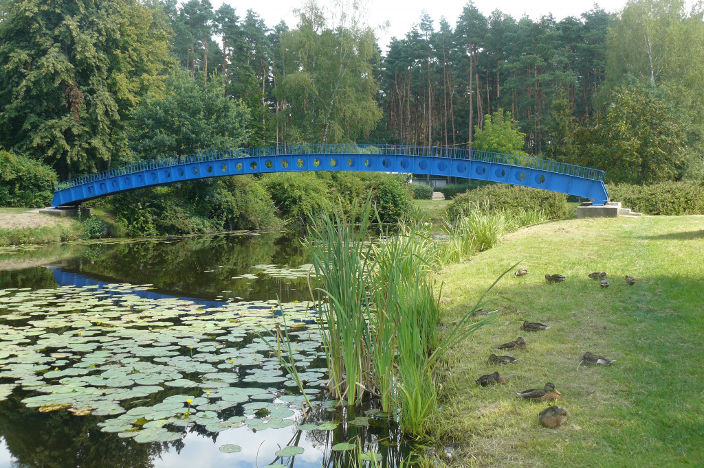 Czy zalew w Pniowcu będzie wyglądał lepiej?