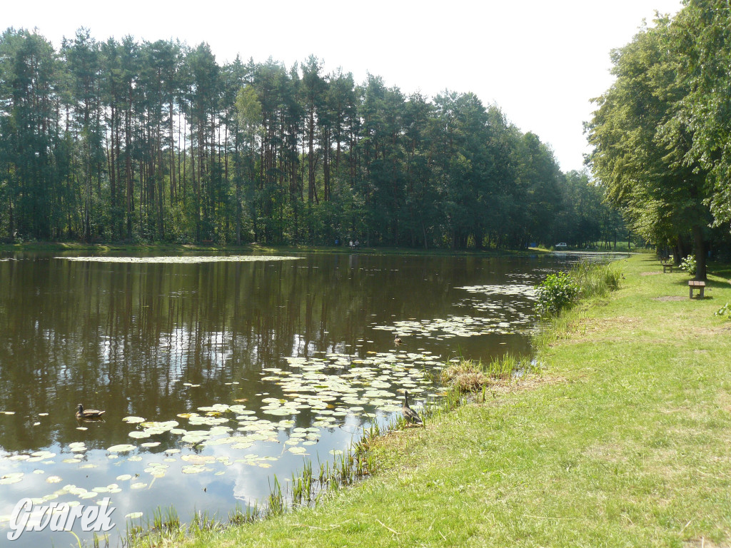 Czy zalew w Pniowcu będzie wyglądał lepiej?