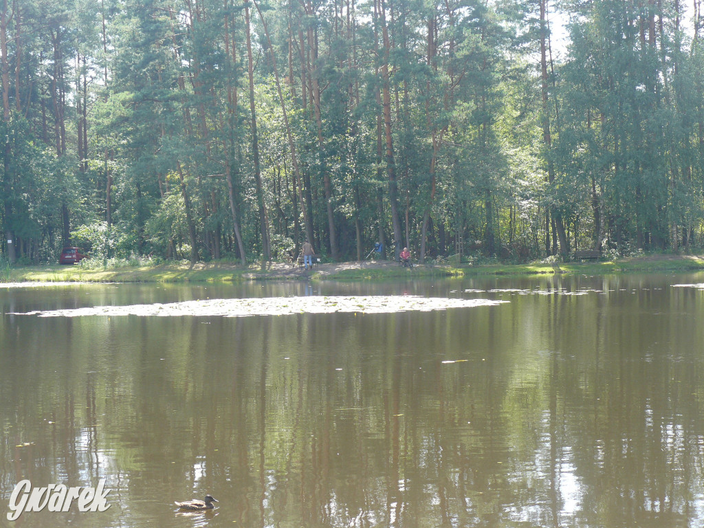 Czy zalew w Pniowcu będzie wyglądał lepiej?