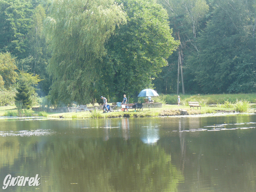 Czy zalew w Pniowcu będzie wyglądał lepiej?