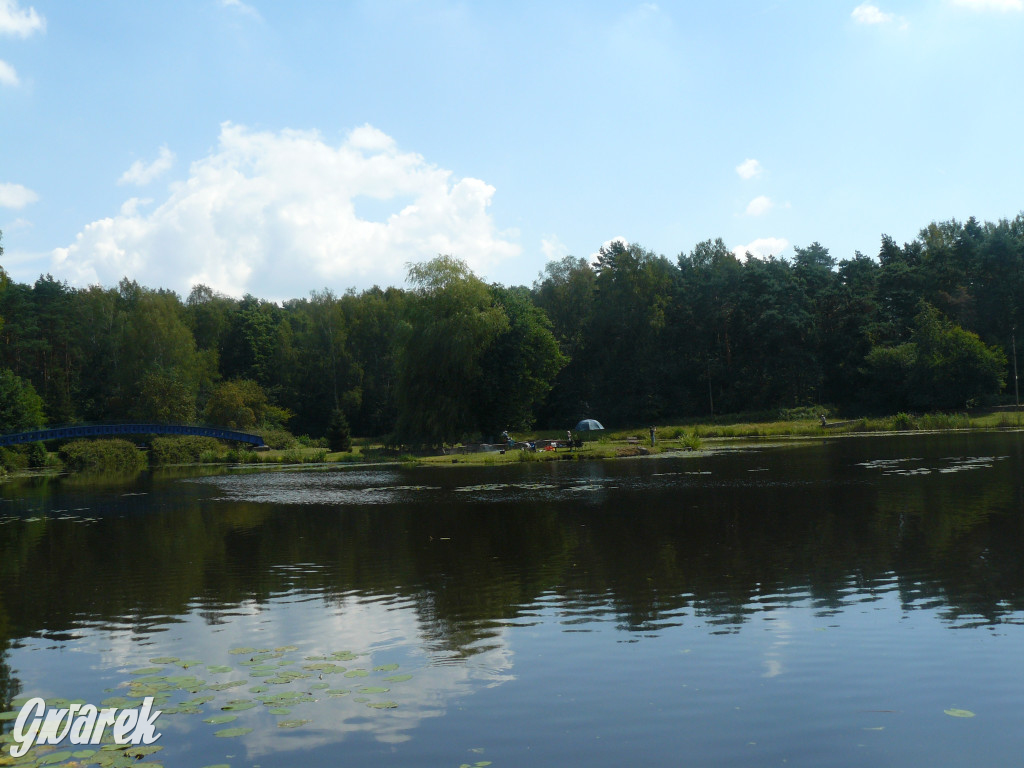 Czy zalew w Pniowcu będzie wyglądał lepiej?