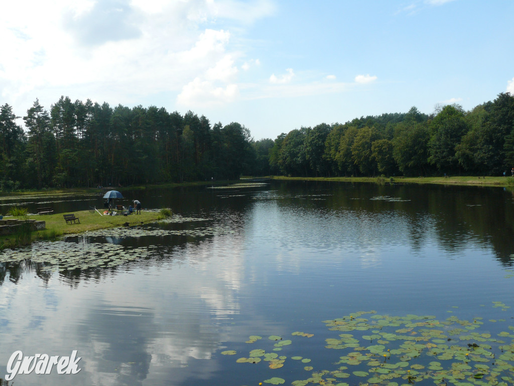 Czy zalew w Pniowcu będzie wyglądał lepiej?