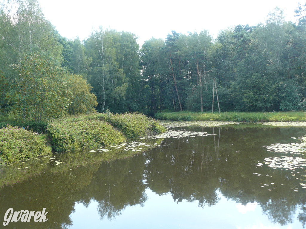Czy zalew w Pniowcu będzie wyglądał lepiej?