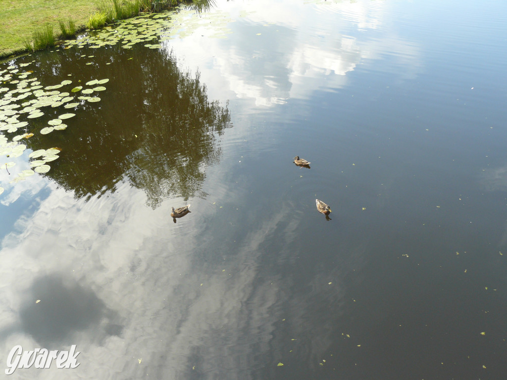 Czy zalew w Pniowcu będzie wyglądał lepiej?