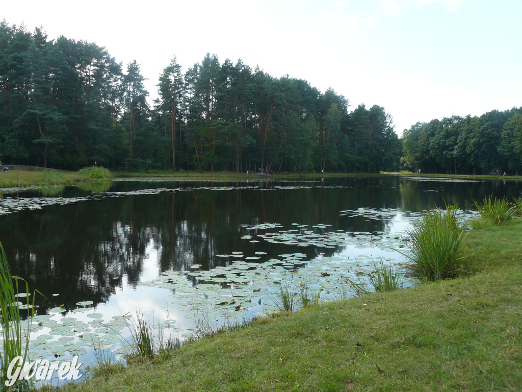 Czy zalew w Pniowcu będzie wyglądał lepiej?
