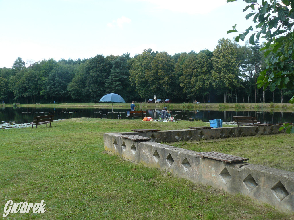 Czy zalew w Pniowcu będzie wyglądał lepiej?